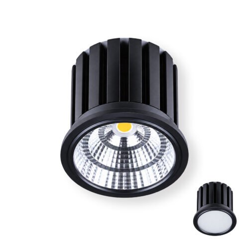 AR111模組 30W/35W/40W 聚光/泛光 - 黑