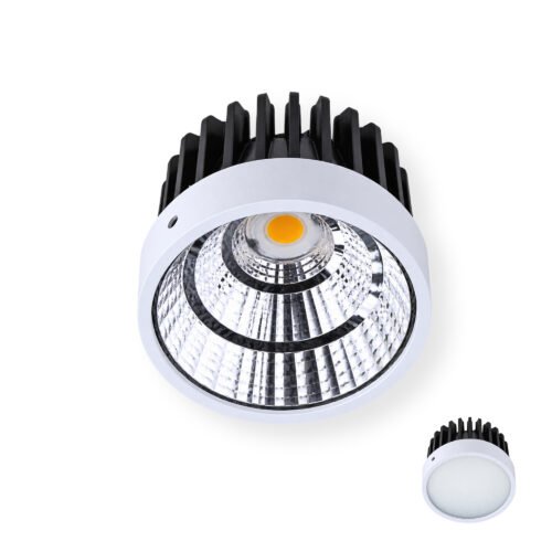 AR75模組 12W/15W 聚光/泛光 - 白(大)